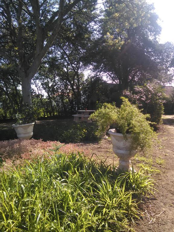 Casa de férias Nature Houses