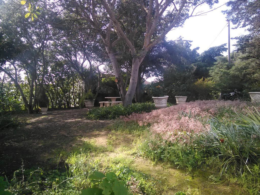 Casa de férias Nature Houses